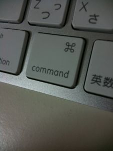 3GS+case.jpg