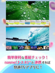 screen480x480.jpeg
