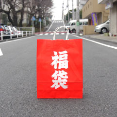 121231birdfukubukuro.jpg