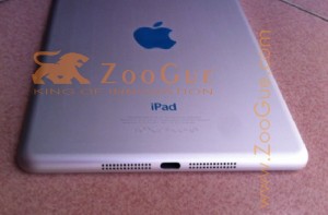iPad-mini-image-1-300x197.jpg