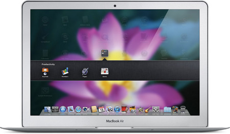 lion_springboard2_20101020.jpg